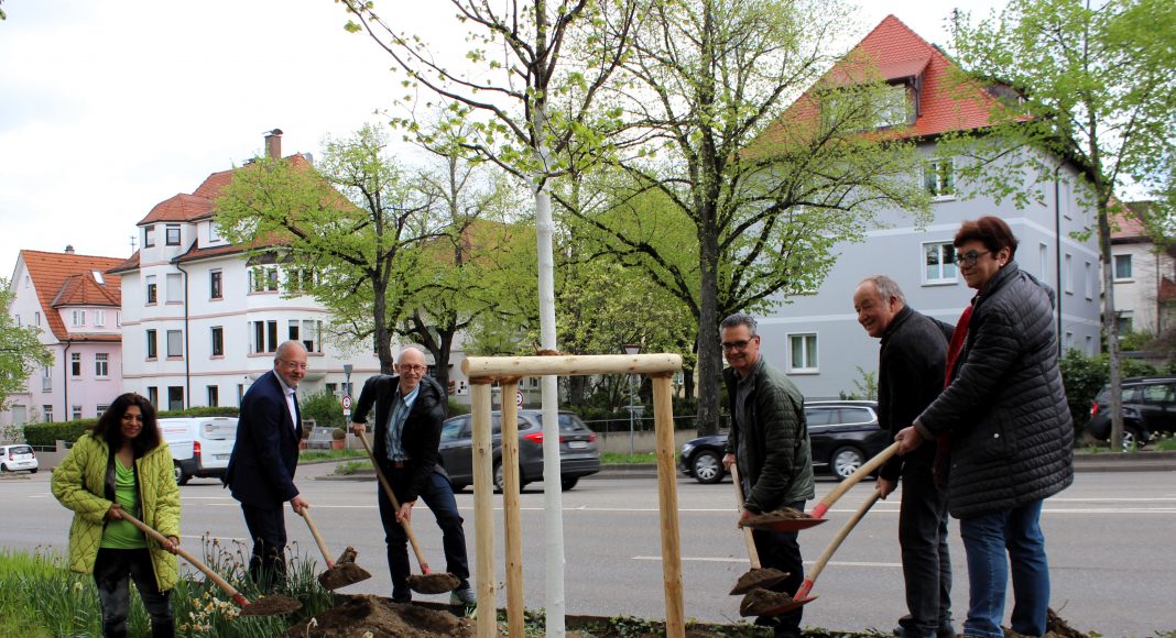 Klima: Wohnungsbau Ludwigsburg pflanzt Zukunftsbäume