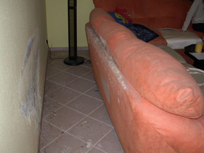 Alle Jahre wieder: „Der Winter kommt, Schimmel wächst aus“