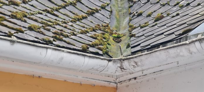 Energieeffiziente Gebäude für Klimaschutz und soziale Stabilität