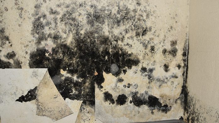 Wenn die Sanierung neue Schäden verursacht