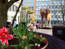 Quartierssanierung durch Business Improvement Districts