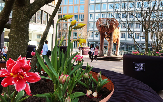 Quartierssanierung durch Business Improvement Districts