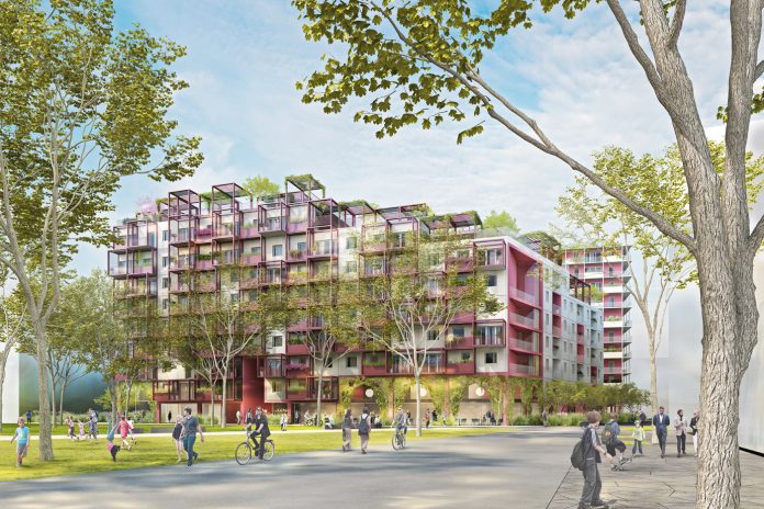 Vom Zamwachsen, Zambleiben und Zamgarteln