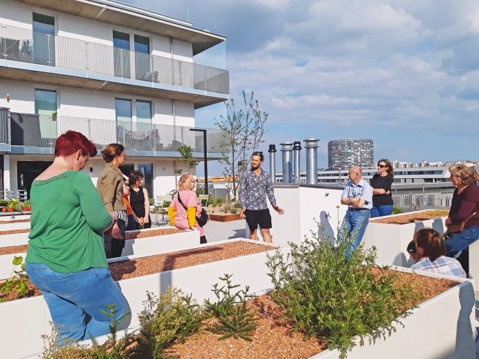 Das gemeinsame Gartln bringt Menschen unterschiedlicher Alters- und Kulturgruppen zusammen. Fotos: realitylab