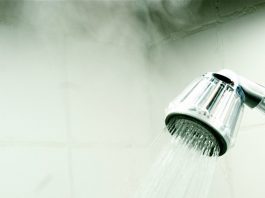 Legionellen-Untersuchung: Bedeutung und Durchführung