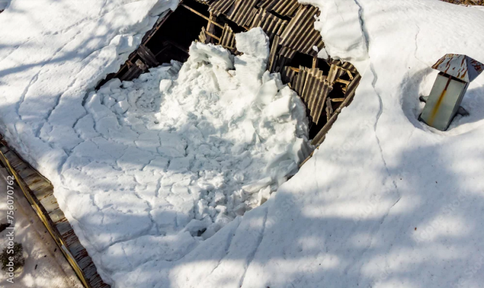 Build Back Better: Thema - Schneedruckschäden verhindern