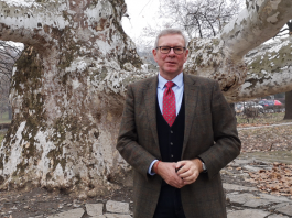 Stadtbäume - mehr Qualität gefordert!