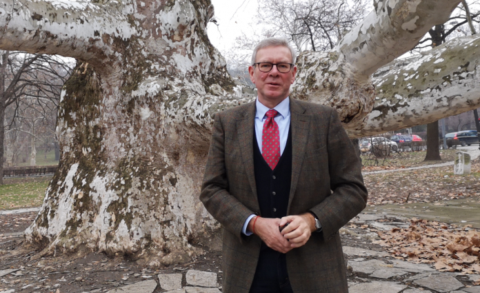 Stadtbäume - mehr Qualität gefordert!