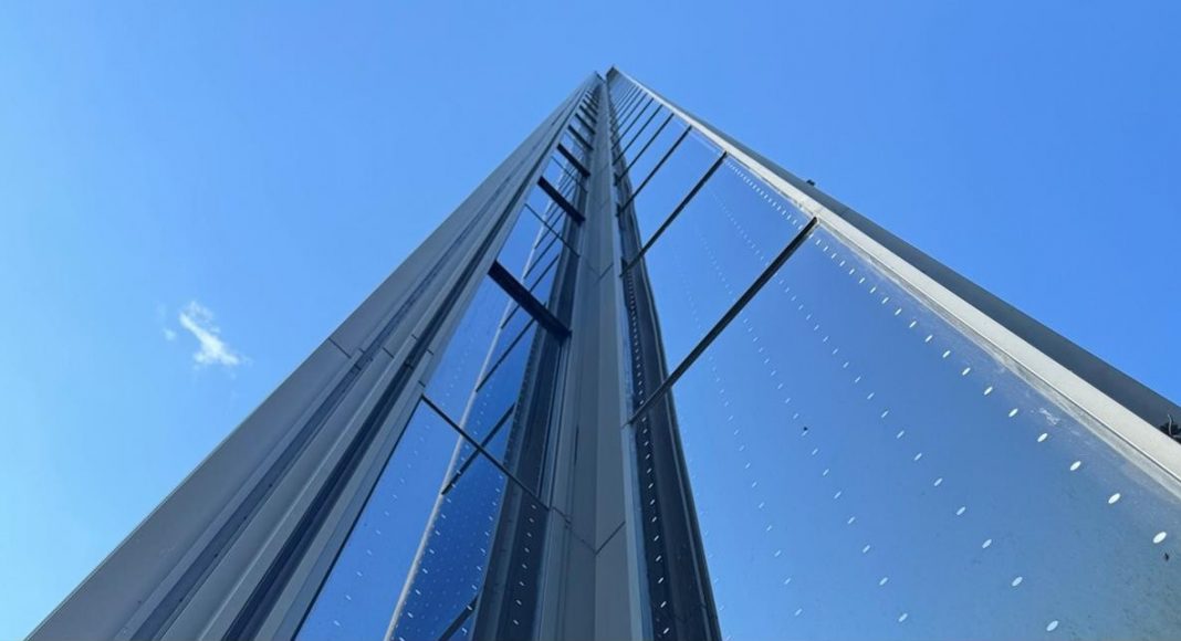 Vogelschutz_copyright Service Friends Wartung schafft Wachstum: Service Friends trotzean Marktlage