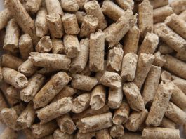 Pellets sparen Milliarden Liter Öl - mehr Unabhängigkeit